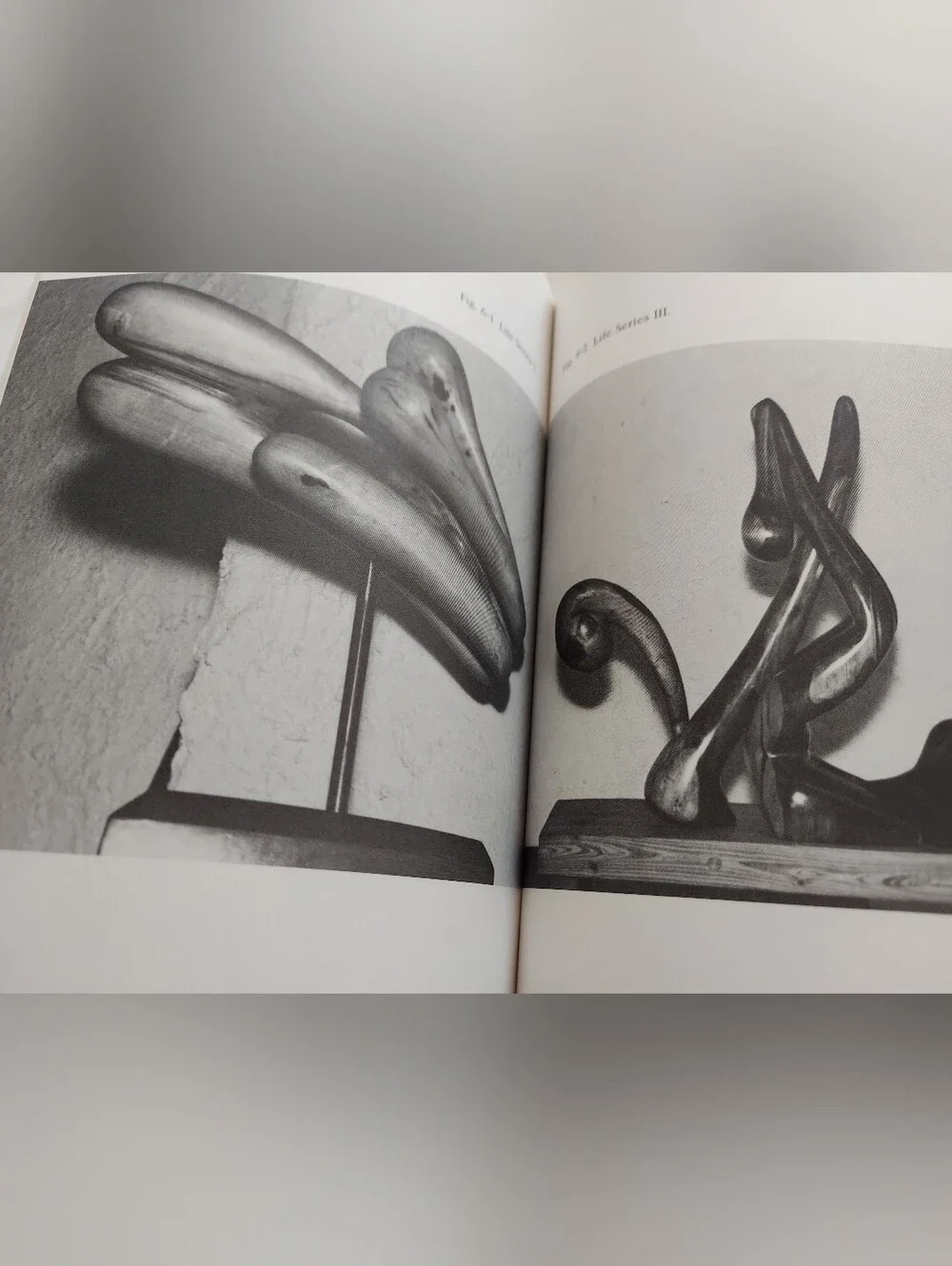 Woodcarving Simplified by Graciela L. Fazzalare-Chilton Hobby Series-illistrated
